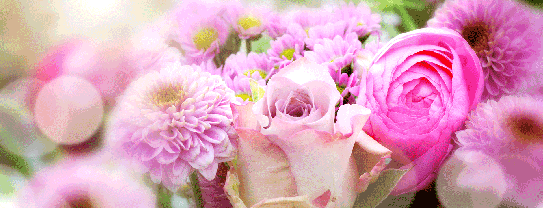 Liebe Valentinstag Muttertag Weltfrauentag Blumenarrangements mit rosa Rosen und lila Chrysanthemen für besondere Anlässe