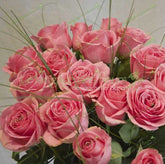 Hellrosa Rosenstrauß München – Frisch & Elegant