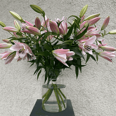 Großer Strauß rosa Stargazer Lilien in Glasvase, online in München kaufen und schnell liefern lassen. Perfekt für besondere Anlässe oder als Blumengruß.