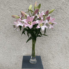 rosa Stargazer - Lilien bestellen – stilvoll im Online Versand: Frische rosa Lilien in voller Blüte in eleganter Glasvase vor neutralem Hintergrund. Ideal als Geschenk oder Dekoration, jetzt online kaufen und verschicken.
