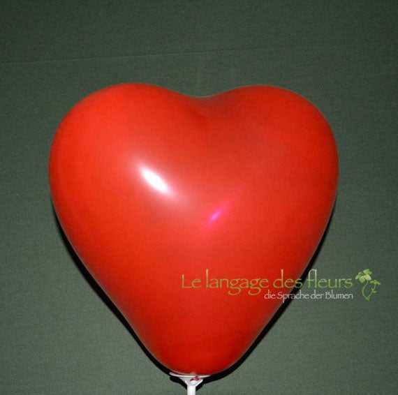 roter Herzluftballon Blumen - Herz Ballon Deko