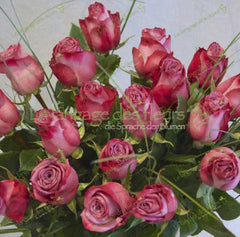 Stilvolle lila Rosen verschenken, frische Sträuße