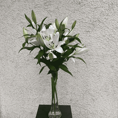 Eleganter Blumenstrauß mit weißen Casablanca-Lilien in hoher Glasvase – jetzt Lilien online bestellen und verschicken in München.