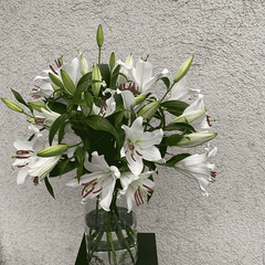 Frischer Lilienstrauß mit weißen Casablanca-Blüten und Knospen in Glasvase – Lilien verschicken leicht gemacht in München.