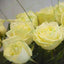 Weisse Rosen Online bestellen – Frische Sträuße
