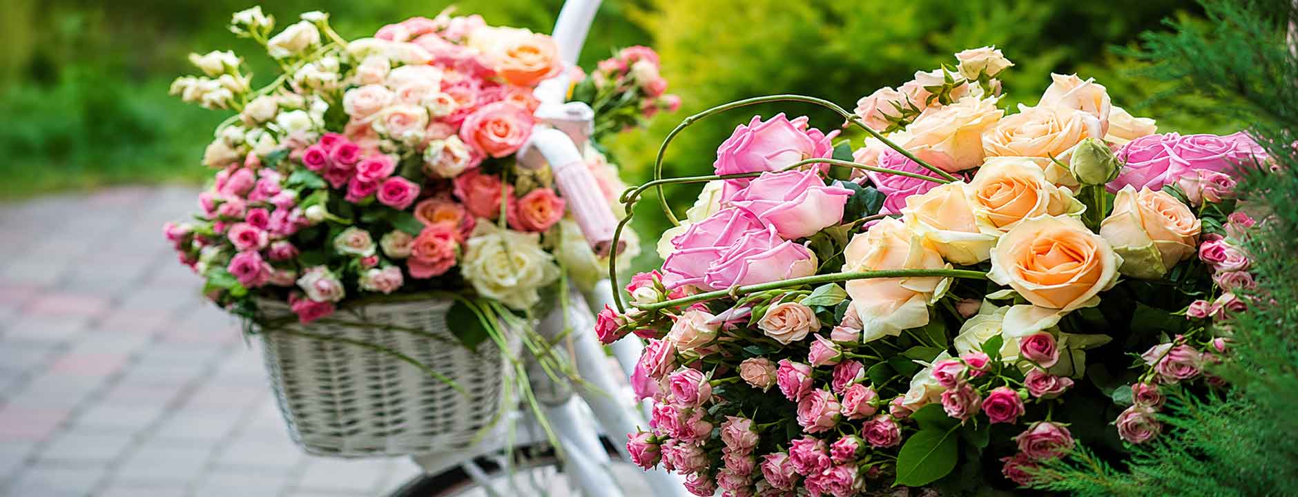 Blumen Lieferung München - Le langage des fleurs