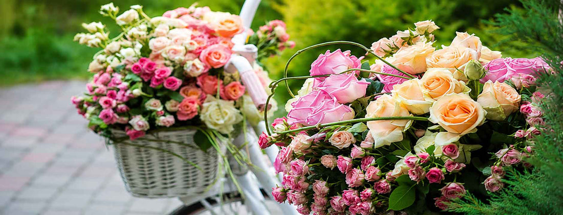 Blumen Lieferung München - Le langage des fleurs