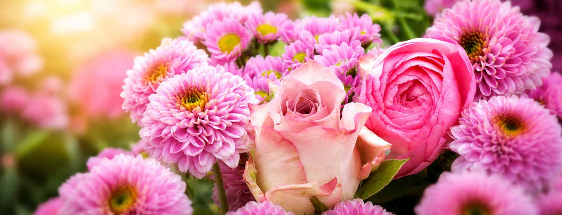 Liebe Valentinstag Muttertag Weltfrauentag Blumenarrangements mit rosa Rosen und lila Chrysanthemen für besondere Anlässe