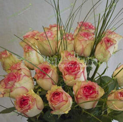 Esperanza Rosen kaufen Haidhausen – Frische Rosen von Mein Shop