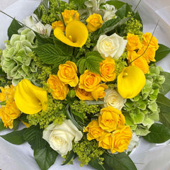 gelbe Blumen München
