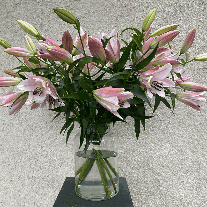 Großer Strauß rosa Stargazer Lilien in Glasvase, online in München kaufen und schnell liefern lassen. Perfekt für besondere Anlässe oder als Blumengruß.