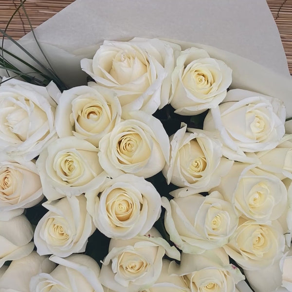 Weiße Rosen – Stilvolle Zurückhaltung mit Wirkung 🤍