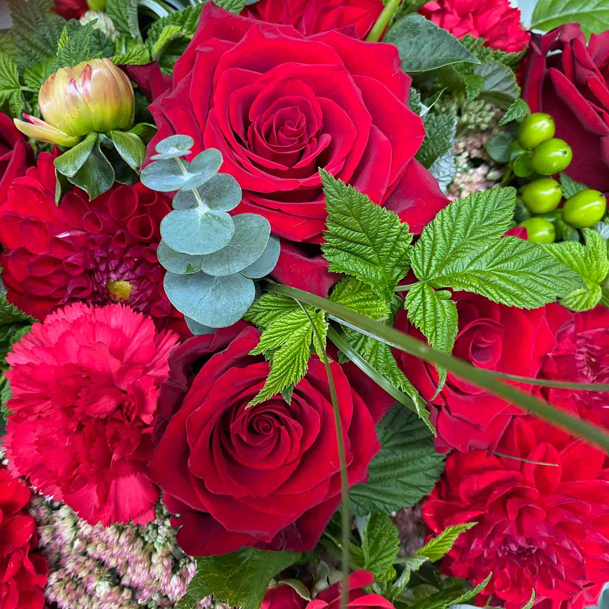 Romantische rote Blumen