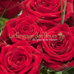 Rote Rosen München Lieferung – Frische Sträuße