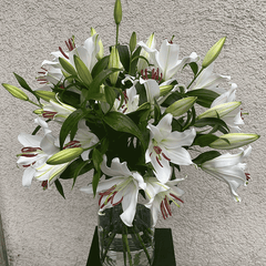 weisse Casablanca - Lilien bestellen und verschicken München