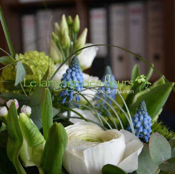 Weißer Blumenstrauß in München mit Ranunkeln, Muscari und Eukalyptus – stilvoll elegant für Büro oder Zuhause.
